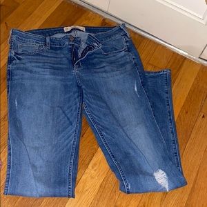 Hollister boot cut jeans